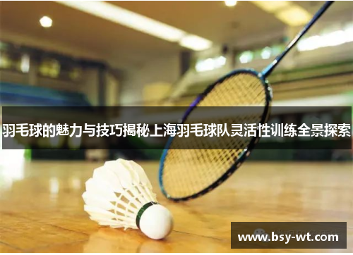 羽毛球的魅力与技巧揭秘上海羽毛球队灵活性训练全景探索
