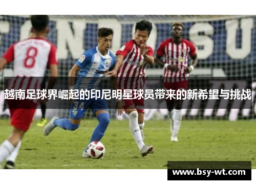 越南足球界崛起的印尼明星球员带来的新希望与挑战